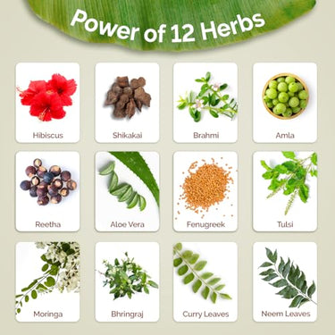 Mamaearth Kerala Thaali Hair Oil with Hibiscus, Bhringraj, Methi Dana & Amla for Thick & Long Hair - 150 ml | Stimulates Hair Growth | Nourishing Thali | 100% Natural Herbs | 12 Potent Herbs